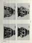 thumbnail of bitstream