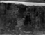 thumbnail of bitstream