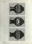 thumbnail of bitstream