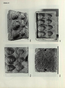 thumbnail of bitstream