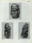 thumbnail of bitstream
