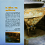 thumbnail of bitstream