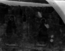 thumbnail of bitstream