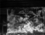 thumbnail of bitstream