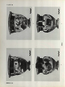 thumbnail of bitstream