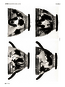 thumbnail of bitstream