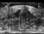 thumbnail of bitstream