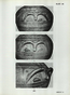 thumbnail of bitstream