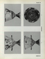 thumbnail of bitstream