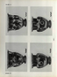 thumbnail of bitstream