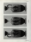 thumbnail of bitstream