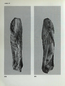 thumbnail of bitstream