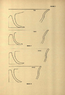 thumbnail of bitstream