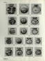 thumbnail of bitstream