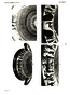 thumbnail of bitstream
