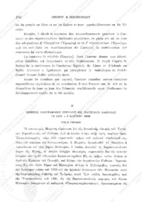 Φωτογραφία του περιγραφόμενου στοιχείου
