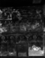thumbnail of bitstream