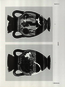 thumbnail of bitstream