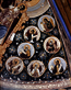 thumbnail of bitstream