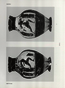 thumbnail of bitstream