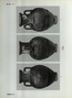 thumbnail of bitstream
