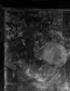 thumbnail of bitstream