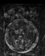 thumbnail of bitstream