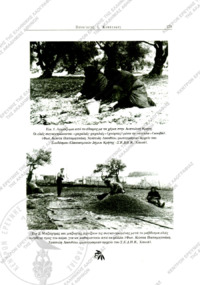 Φωτογραφία του περιγραφόμενου στοιχείου