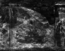thumbnail of bitstream