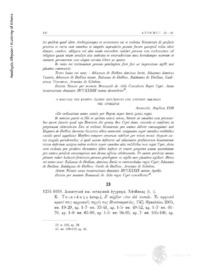 Φωτογραφία του περιγραφόμενου στοιχείου