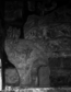 thumbnail of bitstream