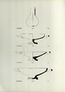 thumbnail of bitstream