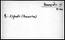 thumbnail of bitstream