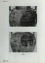 thumbnail of bitstream