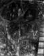 thumbnail of bitstream
