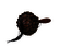 thumbnail of bitstream