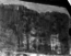 thumbnail of bitstream