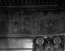 thumbnail of bitstream