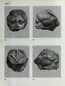 thumbnail of bitstream