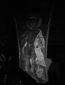 thumbnail of bitstream