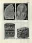 thumbnail of bitstream