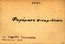 thumbnail of bitstream