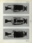 thumbnail of bitstream