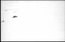 thumbnail of bitstream