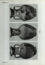 thumbnail of bitstream