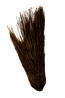 thumbnail of bitstream