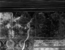 thumbnail of bitstream