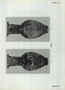 thumbnail of bitstream