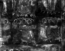 thumbnail of bitstream