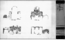 thumbnail of bitstream